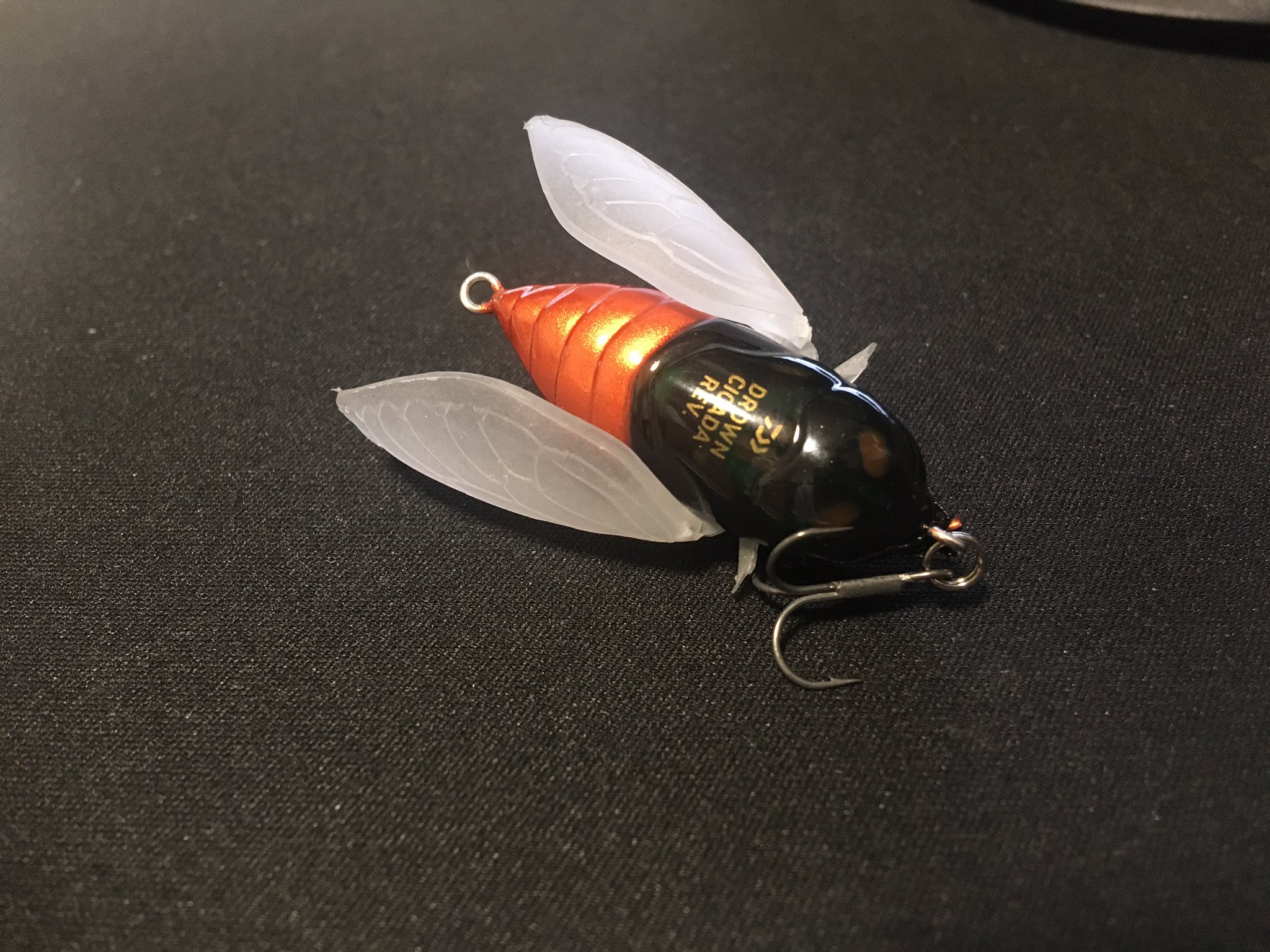 釣り用具マスター いわなん ダイワからなかなか面白いルアー出てましたわ 小型シケーダで羽閉じアクションもできるみたい これからの時期絶対面白い釣りできる ドラウンシケーダrev ダイワ バス釣り T Co 3o4ztaenkn Twitter