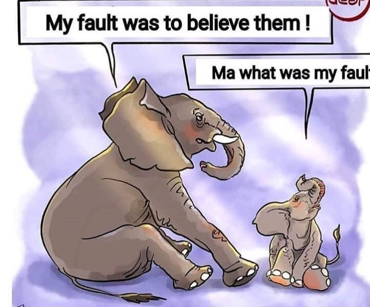 surendrapalsin3's tweet photo. #Undoubtly
#Kerala the most #literatestate
But in #education
But #humanity
Kerala most #illiteratestate
You gives max. #ISIS
You killed #RSSWorkers
NowYou killed #keralaelephant #Unbornchild
#RIPHumanity @NIRAJKU79755455
@CmKerala @JyotiVashisht05 @P_Kulsh
@9sblog @nav_ca https://t.co/1f5fwkrjE6