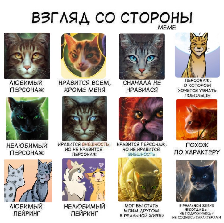Тест коты воители