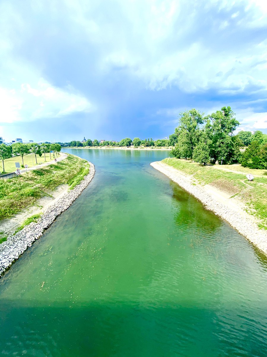 WhosCoachingYou's tweet image. No rowing coaching today, just boat watching 😇

#coahing #summer