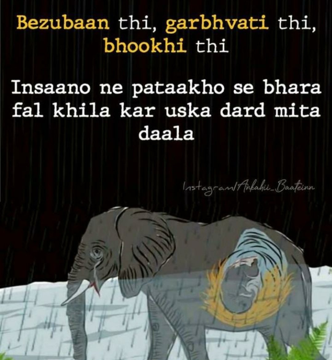SagarJ95's tweet photo. Very Shameful incident for us 
#nohumanity
Rest in peace great soul 🙏🥺 https://t.co/We5sY2dLke