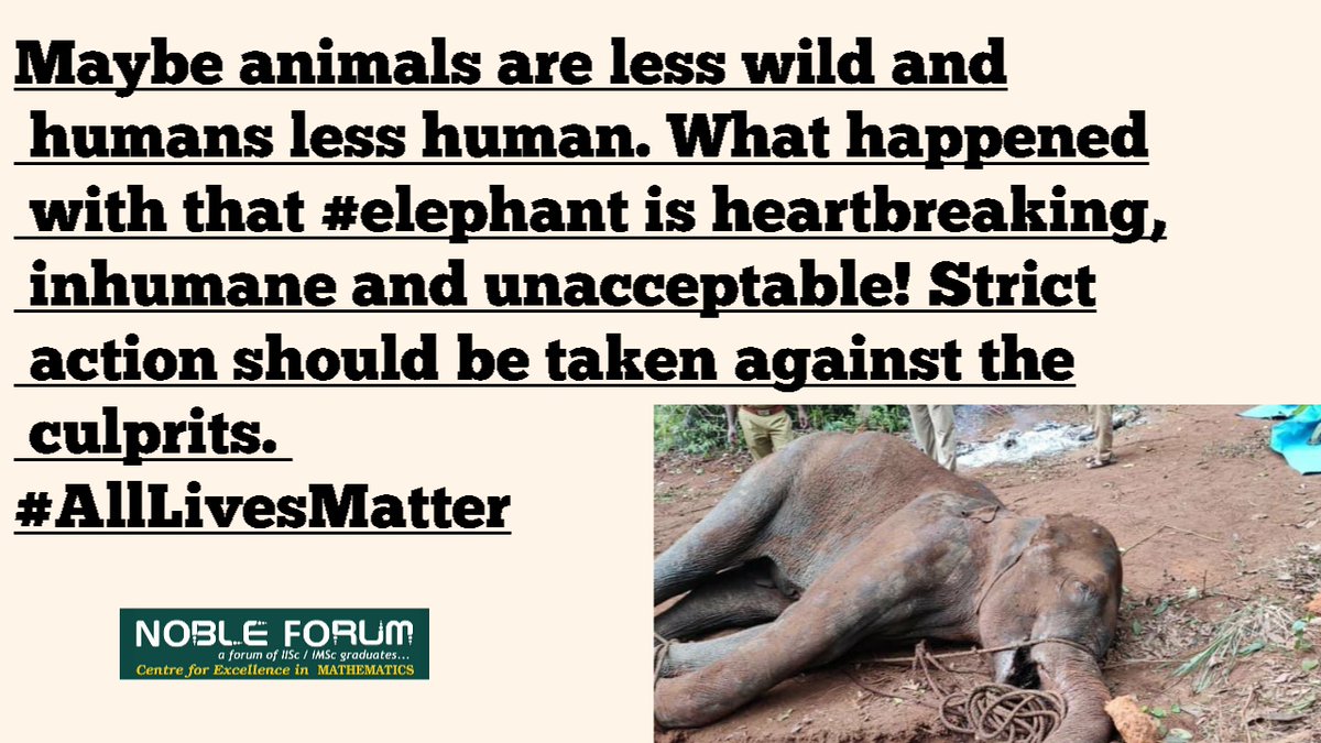 ForumNoble's tweet photo. #AlllivesMatter https://t.co/k365pUlEBm https://t.co/WcRtPSWfAW