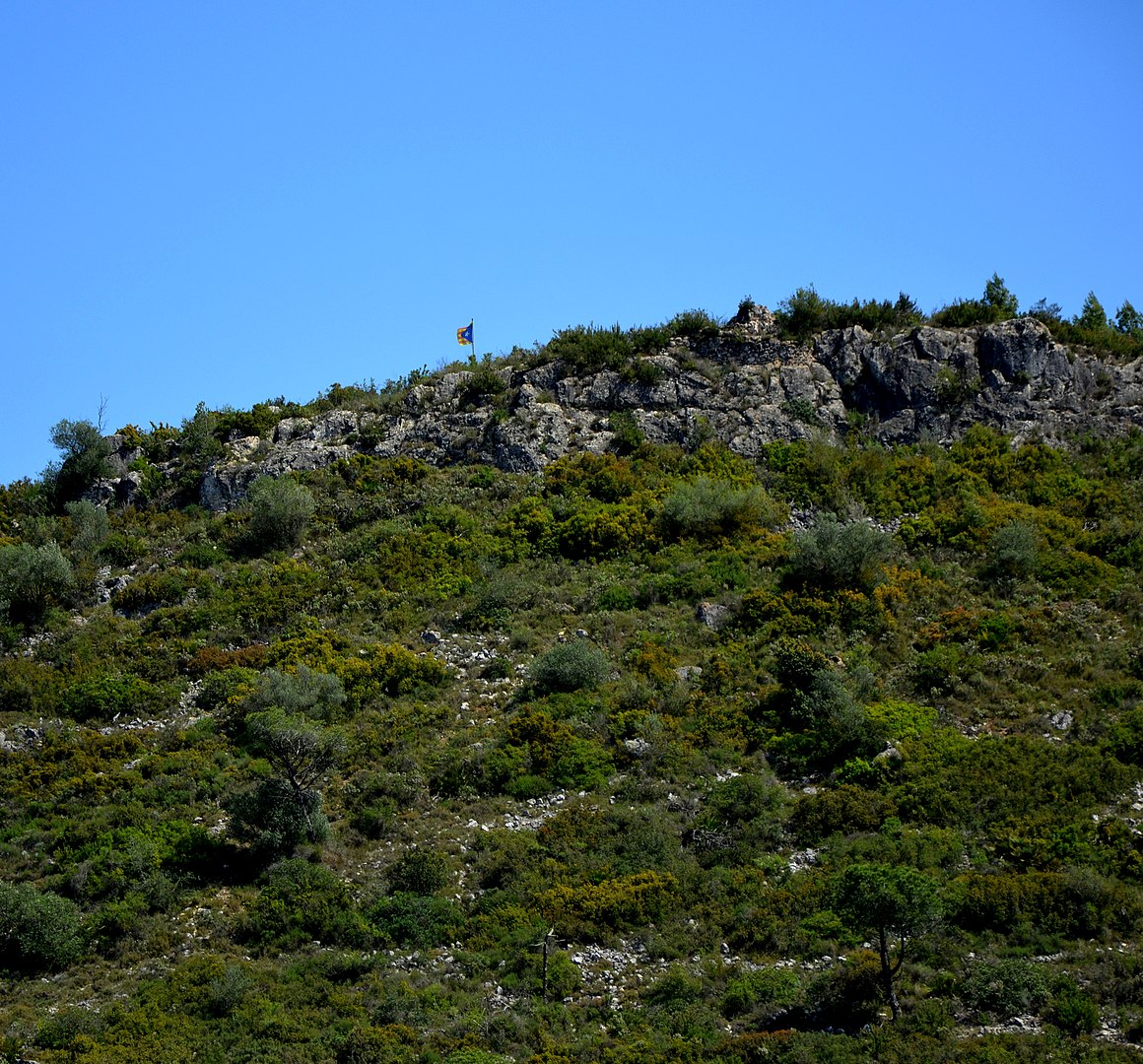 a large green field with trees in the background

commons.wikimedia.org/w/index.php?cu…