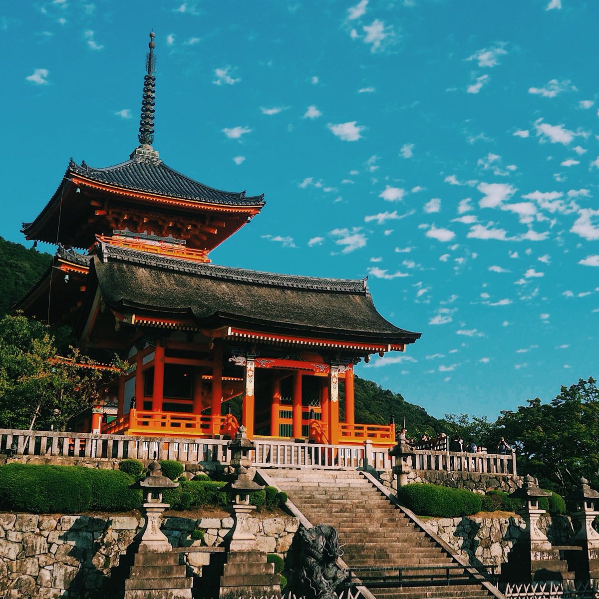 japancommunity's tweet photo. #KiyomizuDera, located in eastern #Kyoto is part of #UNESCO world heritage,!🤗
When looking at such pics you can only think about how many of these temples and shrines #Japan has and how they are all so special!
Which one is the most unique? 🤔 #japacommunity https://t.co/NwQtzmFbBJ