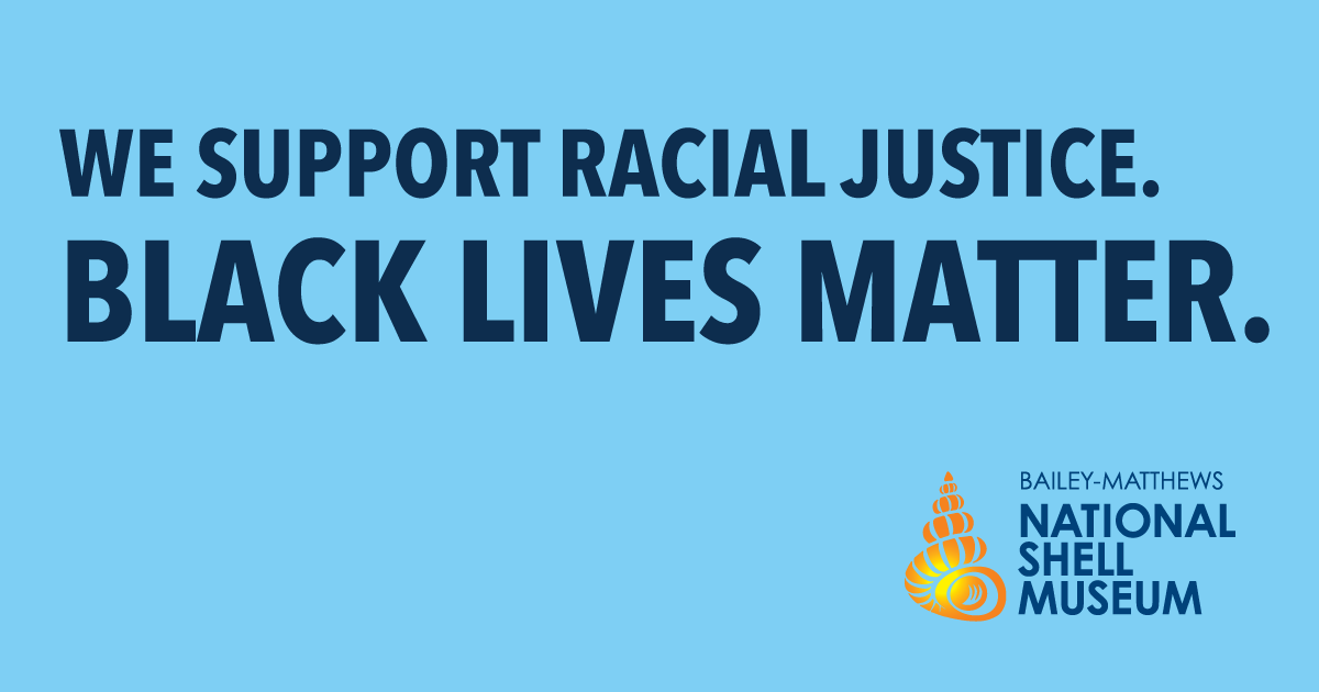 ShellMuseum's tweet image. 