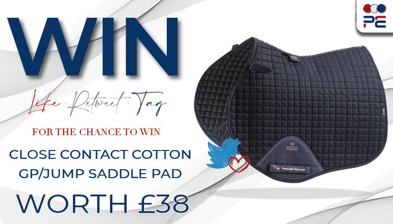 premierequine1's tweet photo. ❗️WIN WIN WIN❗️ 

Enter our June competition to be in with a chance of winning a Close Contact GP/Jump Saddle Pad worth £38! 

To enter: 

🔹 LIKE 
🔹 RETWEET 
🔹 TAG your friends 

Remember, winner must be following us. Good luck 🍀

Winner will be announced 30/06/2020 https://t.co/KxqxJUTut6