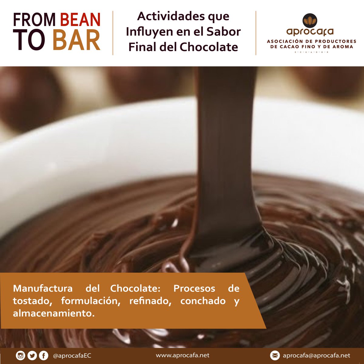 aprocafaEC's tweet photo. Diversos aromas y sabores se perciben al catar chocolate🍫, y estos depende de varios factores.
Te compartimos actividades que influyen en el sabor final del chocolate.
#aprocafa
#chocolate
#trazabilidad
#frombeantobar
#cacao
#delgranoalabarra https://t.co/XW1UbEdujO