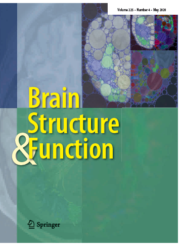 TheNeuroNetwork's tweet photo. "Structural Connectivity of the Cerebral Cortex"

New special issue available now in @BrainStrucFunc 

https://t.co/yEZ16Dl5RM https://t.co/iTmM7S0vbs