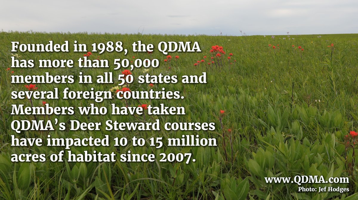 NativeGrassAlly's tweet photo. The mission of @TheQDMA is to ensure the future of white-tailed deer, wildlife habitat, and hunting heritage. Members who have taken QDMA’s Deer Steward courses have impacted 10-15 million acres since 2007! https://t.co/tdCGCakktn