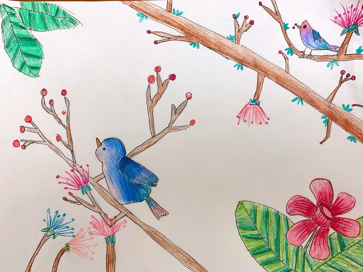 “Bird Paradise” by Olivia Qin is the 3rd Place Winner in the Public Voting Poll in the grade category K-2. “Stay happy!!!!!!” #quarantineart #virtualartexhibit blackrockcenter.org/quotablequaran…