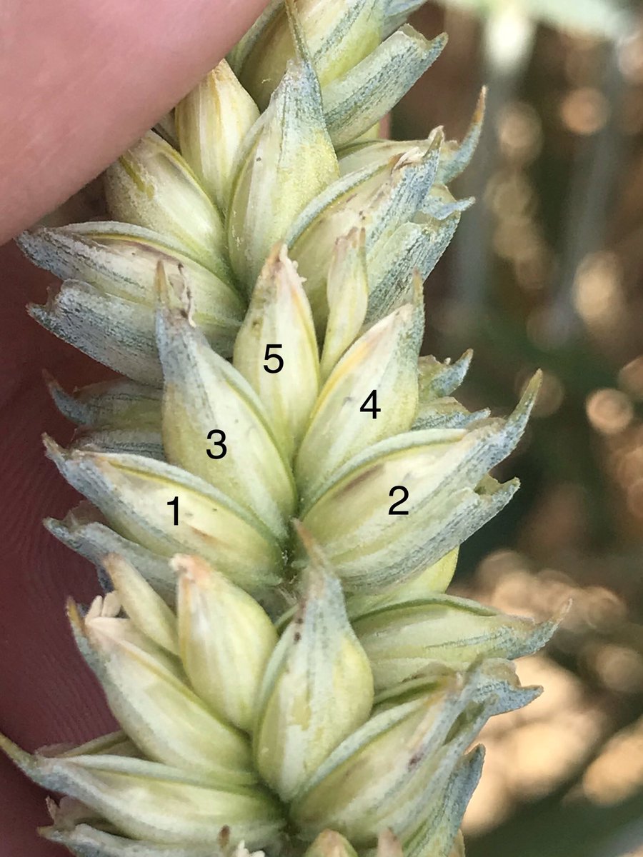 Emmanuel BONNIN tweet media