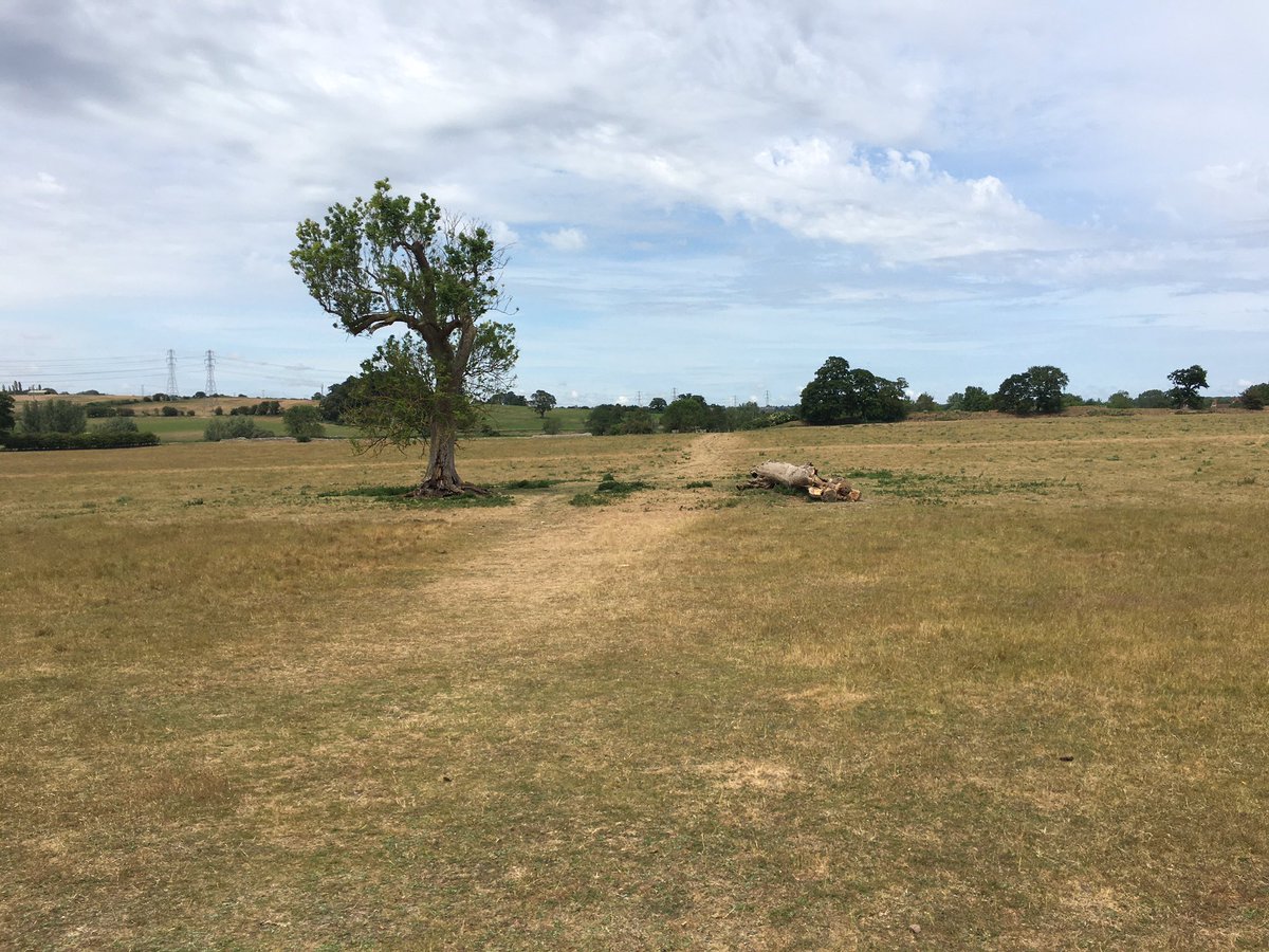 The dry conditions have made the streets and buildings of Venta Icenorum (marketplace of the Iceni) stand out really well. #Roman #archaeology #Norfolk This was the main street today.