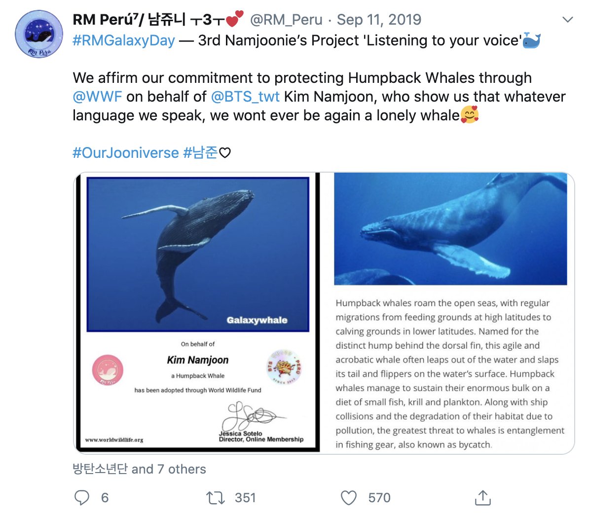 i was wondering what these dots in the middle of the ocean are, and y'all... they have adopted at least five whales and one sea turtle 