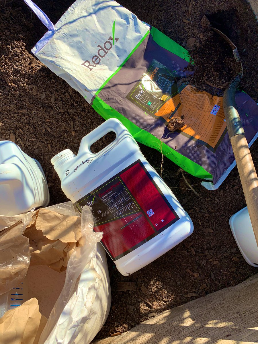 redoxjasmine's tweet photo. Starting these trees off right with a root dip of #rootex and #dermaplex+ https://t.co/HeFvNCFXl2