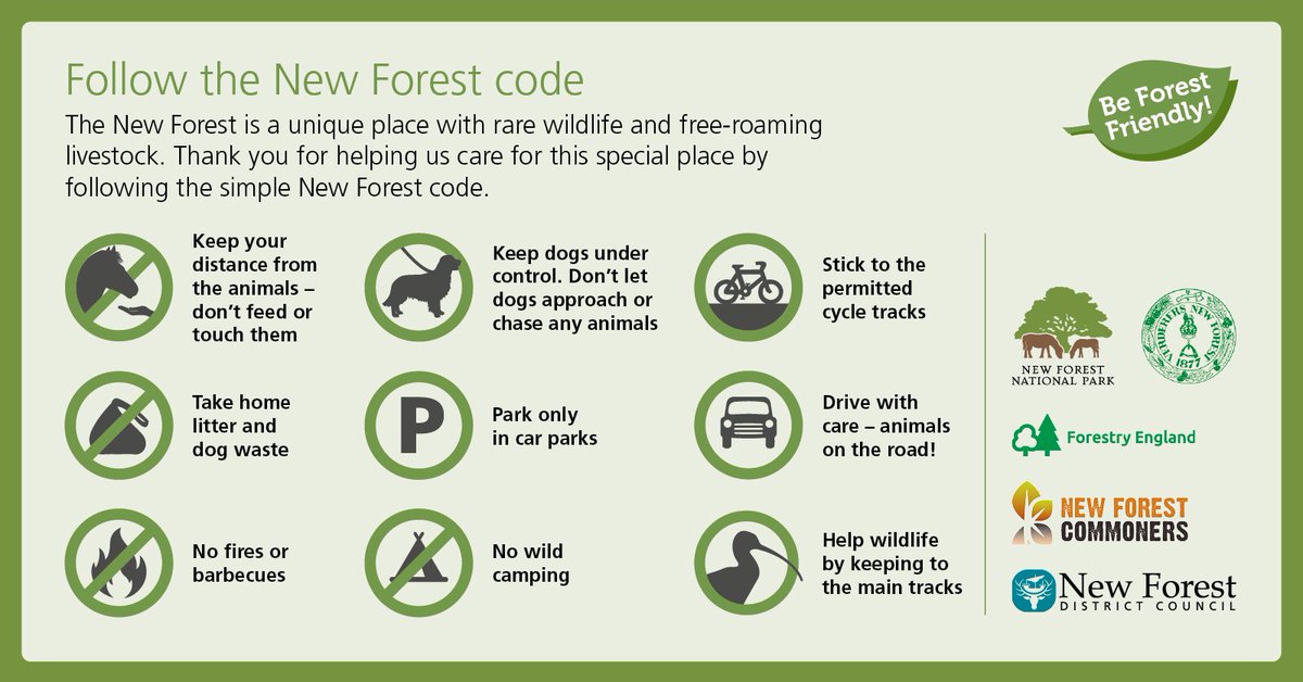 New Forest CDA (@realnewforest) on Twitter photo #NewForest Code - This extensive area of grazed lowland heath is a very rare survivor. Let’s make sure it is safe for the future too #RealNewForest <a href="/NFANews/">Friends of the New Forest</a> <a href="/WildNewForest1/">Wild New Forest</a> <a href="/TheNewForestUK/">The New Forest</a> #NewForest Code - This extensive area of grazed lowland heath is a very rare survivor. Let’s make sure it is safe for the future too #RealNewForest <a href="/NFANews/">Friends of the New Forest</a> <a href="/WildNewForest1/">Wild New Forest</a> <a href="/TheNewForestUK/">The New Forest</a>