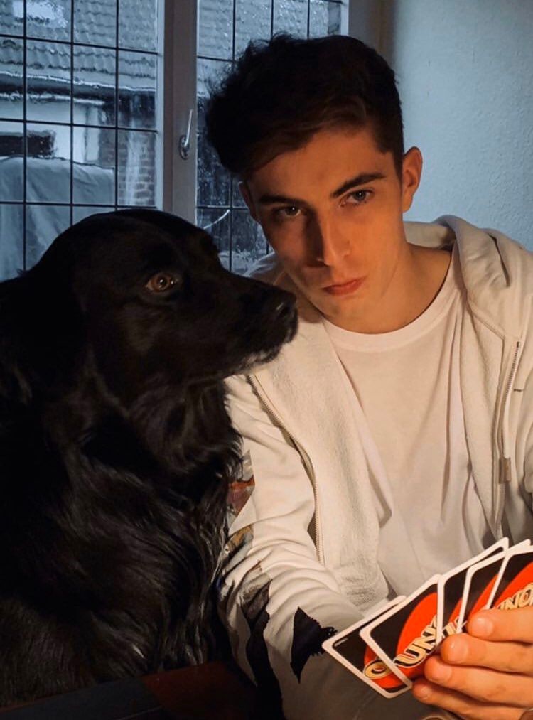WARMING HOME: Kai Havertz enjoys joy with his small, cozy family after an impressive Euro season - His playful and happy moments with his fiance and adorable little dogs ‎