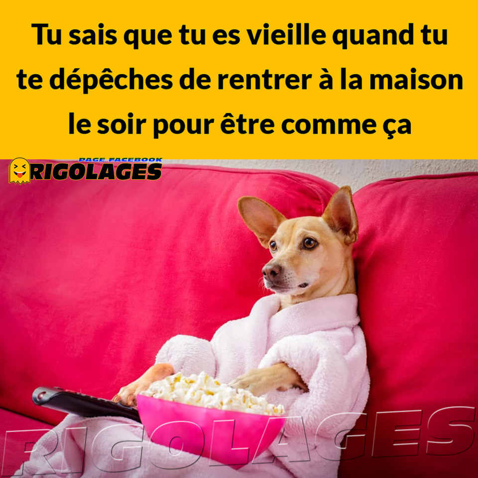 Rigolages Humour Rigolages Chien Vieille Canape Popcorn