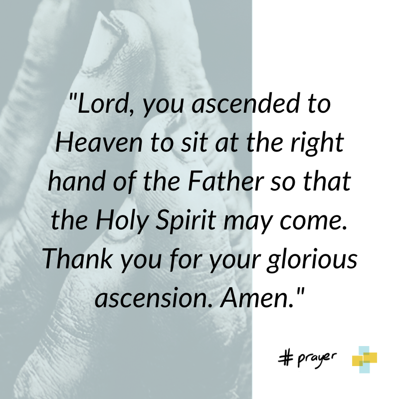 AcmoChurch's tweet photo. 🙏🏽 Let's pray / Prions 🙏🏽 : "Seigneur, tu es monté au Ciel pour t'asseoir à la droite du Père afin que le Saint-Esprit vienne. Merci pour ta glorieuse ascension. Amen."
.
#faith #hope #love #gospel #foi #espoir #amour #evangile #jesus #god #ascension #heaven #holyspirit https://t.co/fNT0VGT2fN