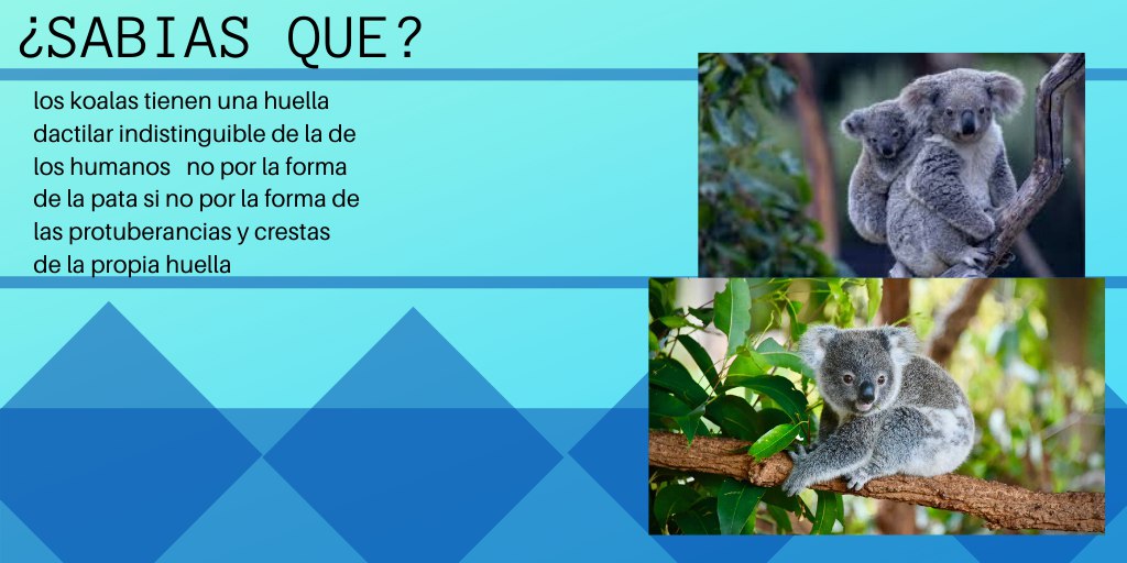 EasyLearn8's tweet image. #emprendedores #Educacion
#intresting