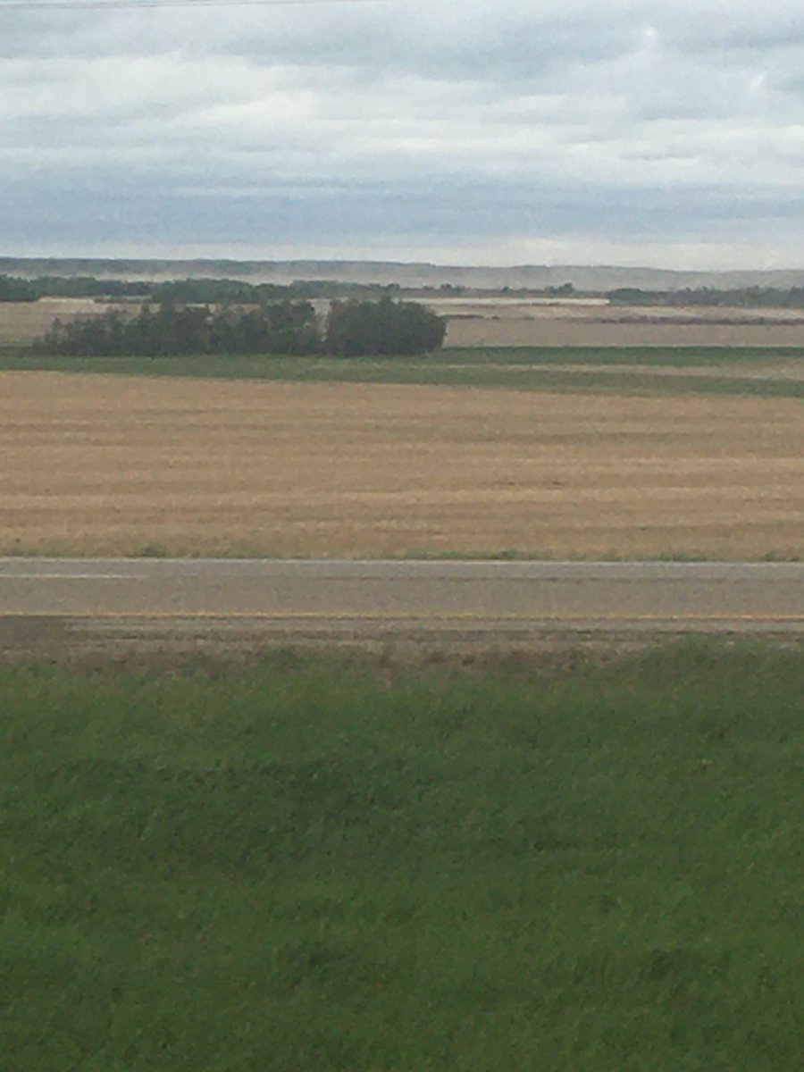 That ‘fog’ off in the distance is organic farmland extensively tilled to try and control perennial weeds. Erosion is going to take earthmovers to dig road ditch again. #organic consumers need to know the environmental costs of choice