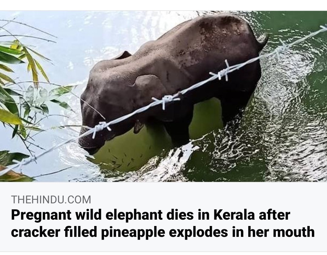 We think just what we do...........#आखिरकोन जिमेदार है उनको सजा कु नही मिली एस कुर्र्ता  के लिये।।।।।।।।।।।।।।।।।। <a href="/BBCBreaking/">BBC Breaking News</a> <a href="/AmitShah/">Amit Shah</a> <a href="/akshaykumar/">Akshay Kumar</a> <a href="/DDNewslive/">DD News</a> <a href="/ArvindKejriwal/">Arvind Kejriwal</a> <a href="/KapilSharmaK9/">Kapil Sharma</a>