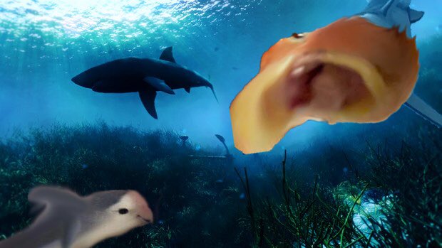 ち على تويتر メガロドンの親戚で世界最大級のサメ という設定 でも歯がないから主食はプランクトンかも