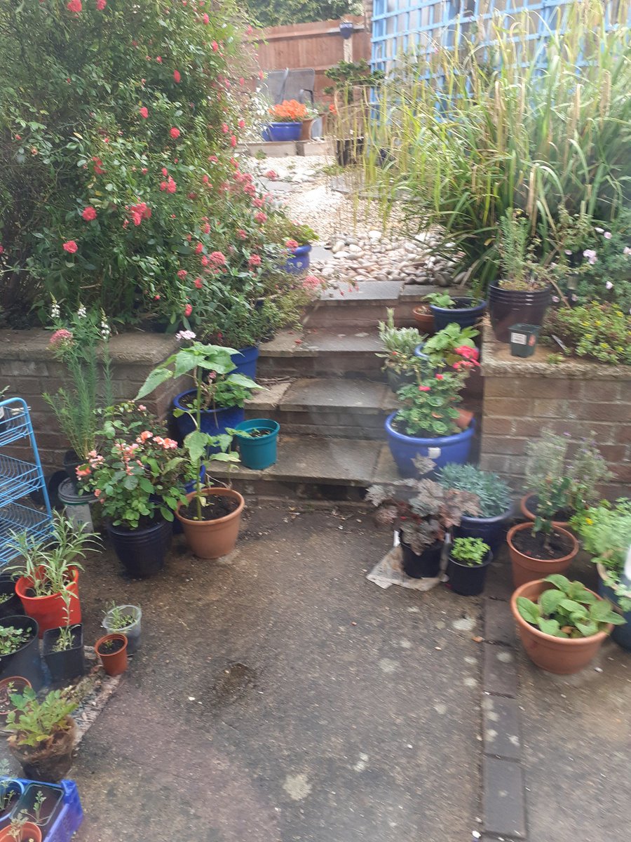 davidmorgan100's tweet photo. Only enough #rain to wet the surface #viewfromkitchenwindow https://t.co/U3dlMp6lRg