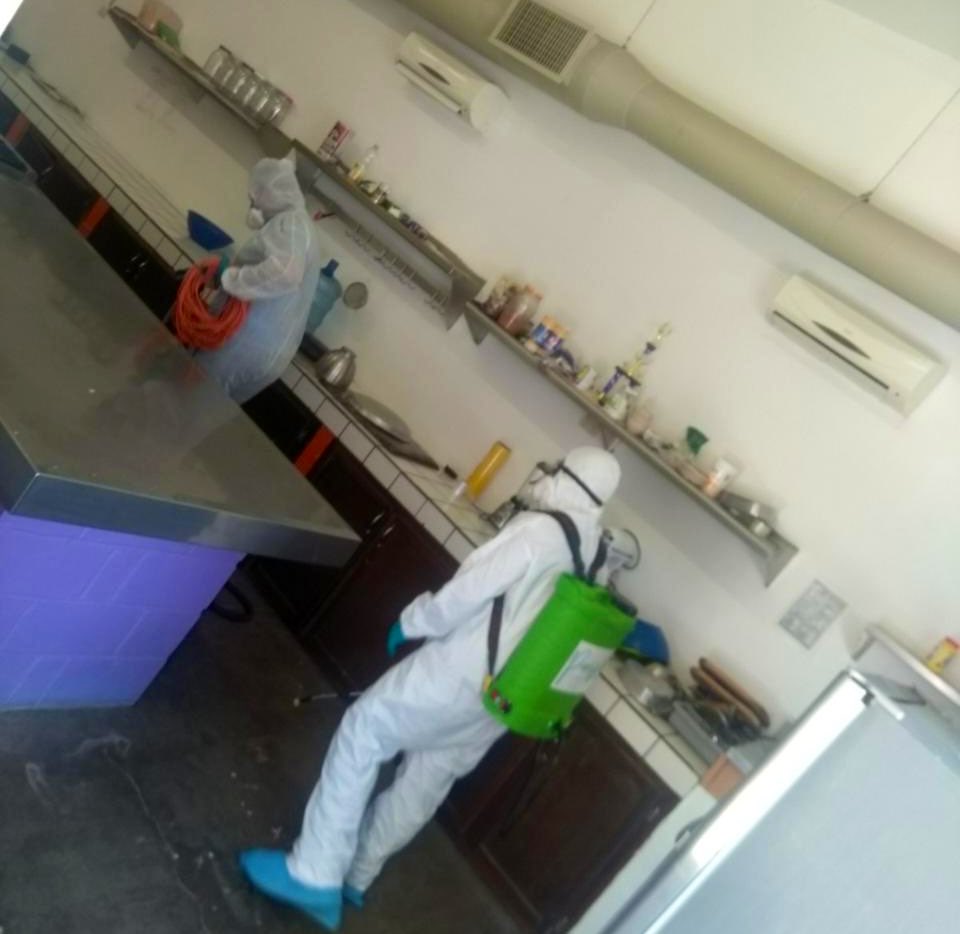 DIF Sonora tweet media