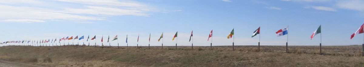 hapandcarol's tweet photo. #HAPPINESS is the #FlagsofUnity โ 250 flags along highway 11 between RedDeer and Sylvan Lake to honor and say Thank You to the health care workers and first responders during the Covid-19 pandemic. #FlagsofUnity https://t.co/fWAKYfCHMe