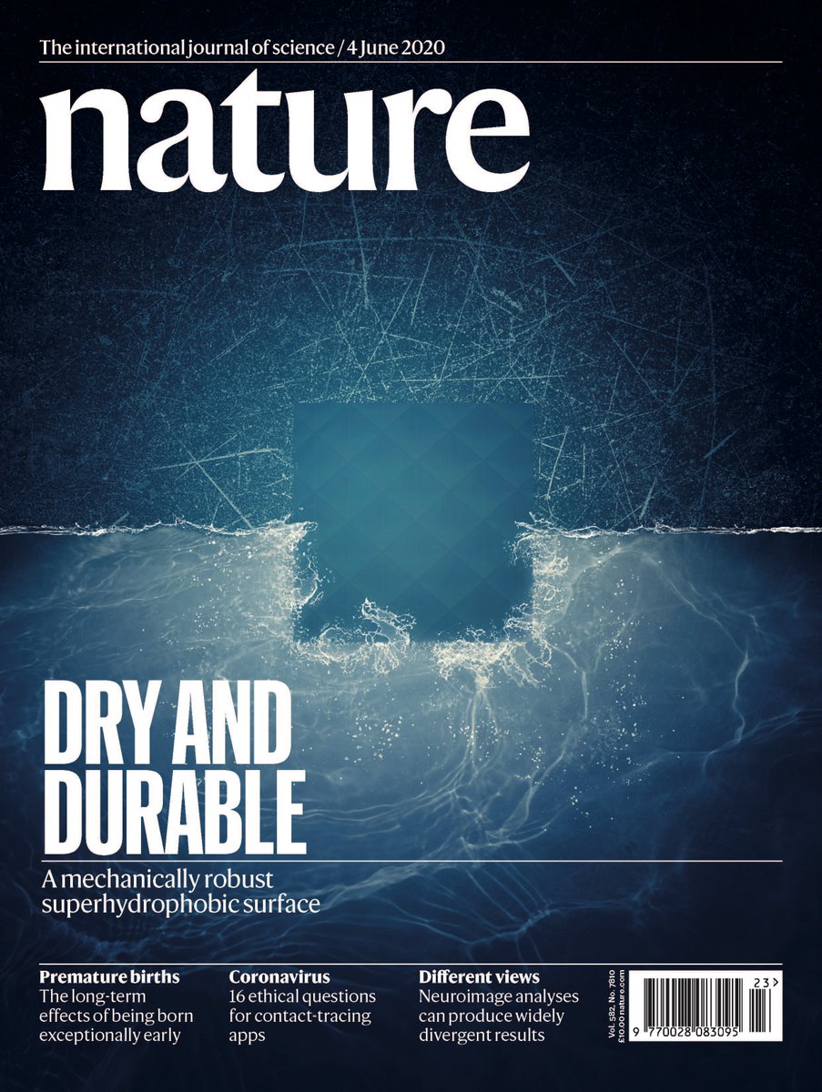 Robin Ras tweet media