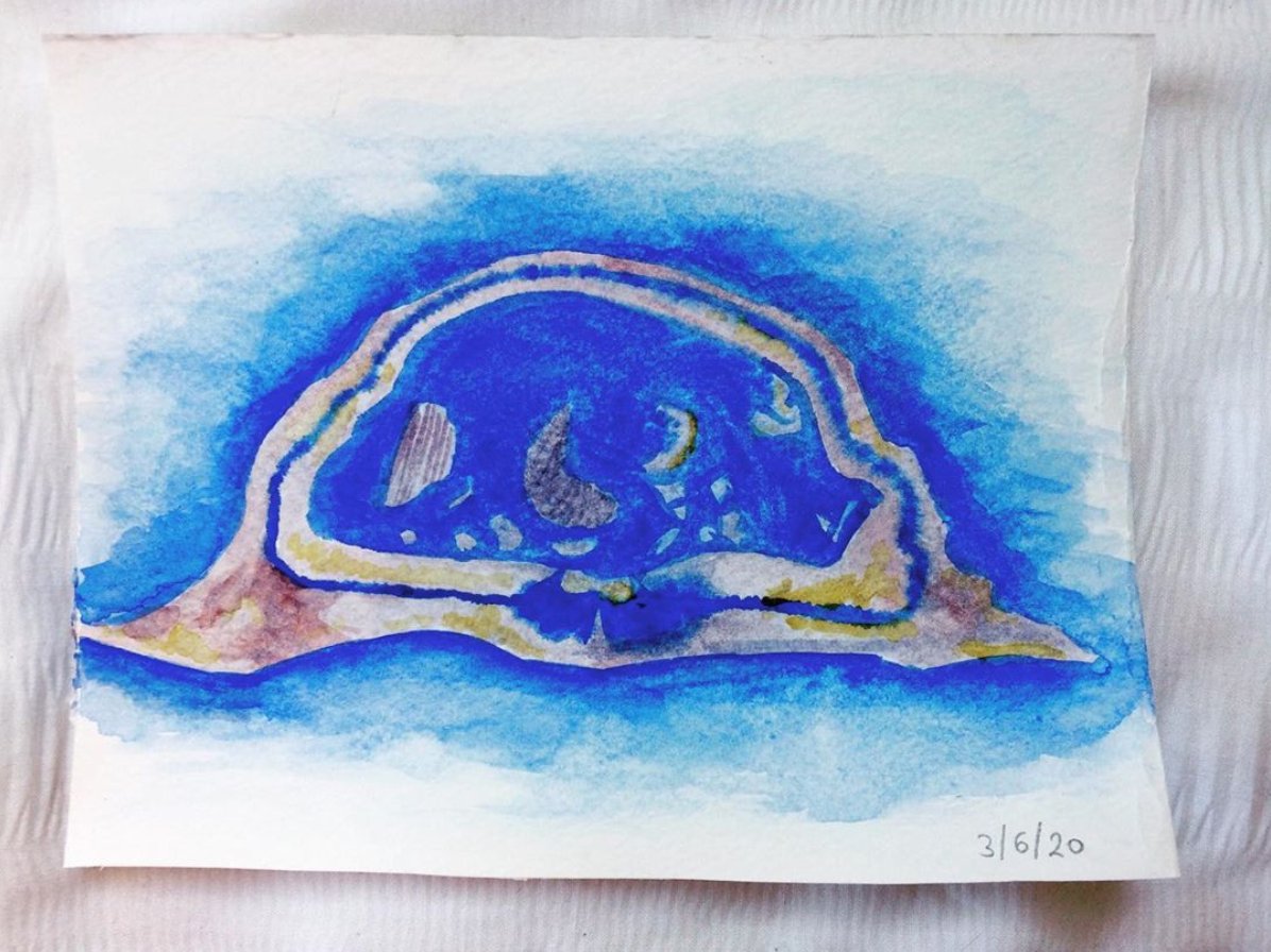 tannerjanfry's tweet photo. I wanted to experiment with my watercolours for the first time in like 4 years! (strophic brachiopod – Isle of Man) #fossil #fossilart #watercolour #fossilwatercolour #watercolourfossil #palaeontology #strophic #brachiopod #strophicbrachiopod #painting #fossilpainting #scienceart https://t.co/1muJNRDDXq