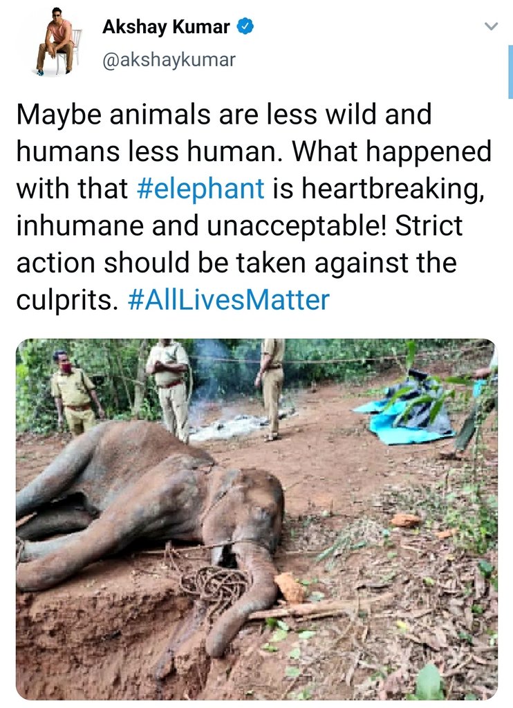 AshishPawar101's tweet photo. #AllLivesMatter https://t.co/sz8j4e2ZY1