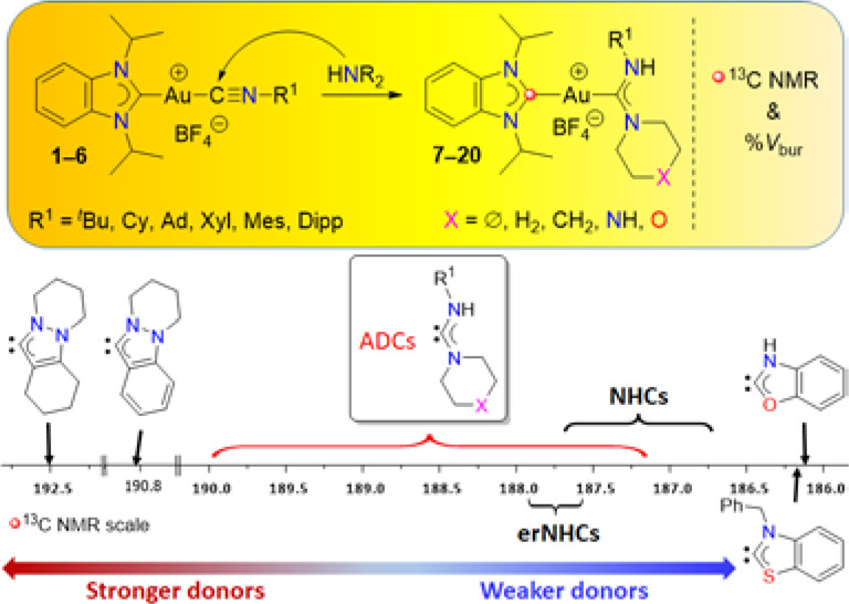 InorgChem's tweet photo. How strongly donating are protic acyclic diamino carbenes (ADCs)? The Huynh Group @GroupHuynh provides insights using 13C NMR of gold(I) heterobis(carbene) complexes. Do check out this new @InorgChem article: https://t.co/nNdCBDXmLy https://t.co/tWRvJA5Zik