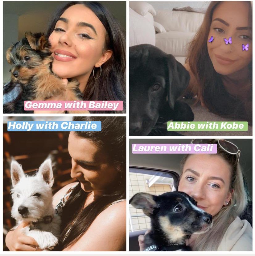 Meet the new members of the team...4 adorable little puppies!! 🐶😍 #puppylove