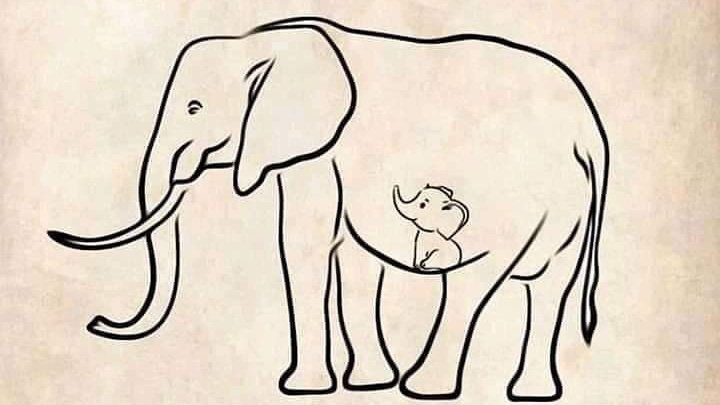 Nadeem_M5's tweet image. Pregnant Wild Elephant Dies in River after Villager Feeds Her Cracker-filled Pineapple in Kerala India.
Humans are the worst. Absolutely worst

#RIPElephant