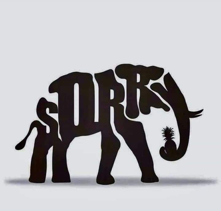 PriyeRa68685326's tweet photo. We the "Animals" of this world are extremely sorry dear Elephant. @DrKumarVishwas @SauravParijat @RishabhPrabhat @sardanarohit @RajatSharmaLive 
#ShameOnHumanity 
#JusticeForElephant https://t.co/F8BZIsoTTw