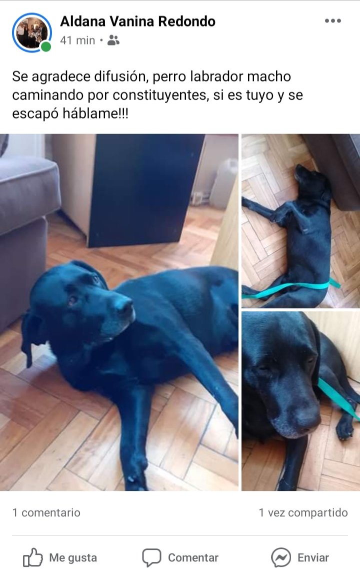 VILLA URQUIZA / VILLA PUEYRREDON
RT!