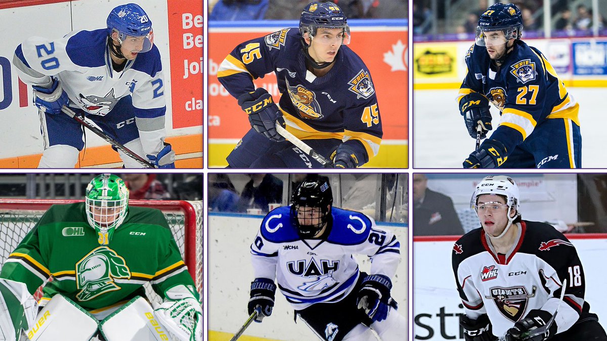 Western Mustangs tweet media