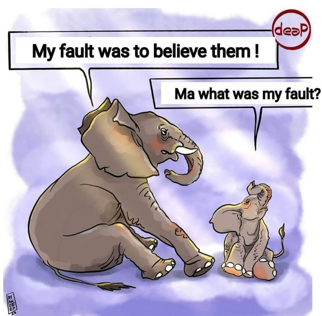 Krishnajethalia's tweet photo. I want to do the same thing with them who make innocent animals died..!! People with no humanity is "जल्लाद"..! #hope_i_can #keralaelephant #saveanimals #humanityends #JusticeForElephant https://t.co/w3me1GoSGA