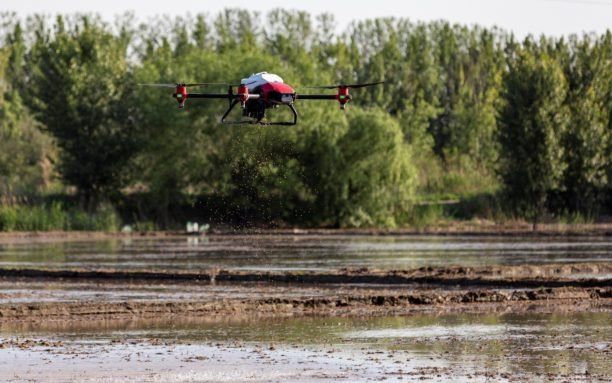 BastropA's tweet photo. Agricultural Drone Speeds Chinese Rice Seeding https://t.co/qzrvnBDgrj https://t.co/xrPw5J76Fk