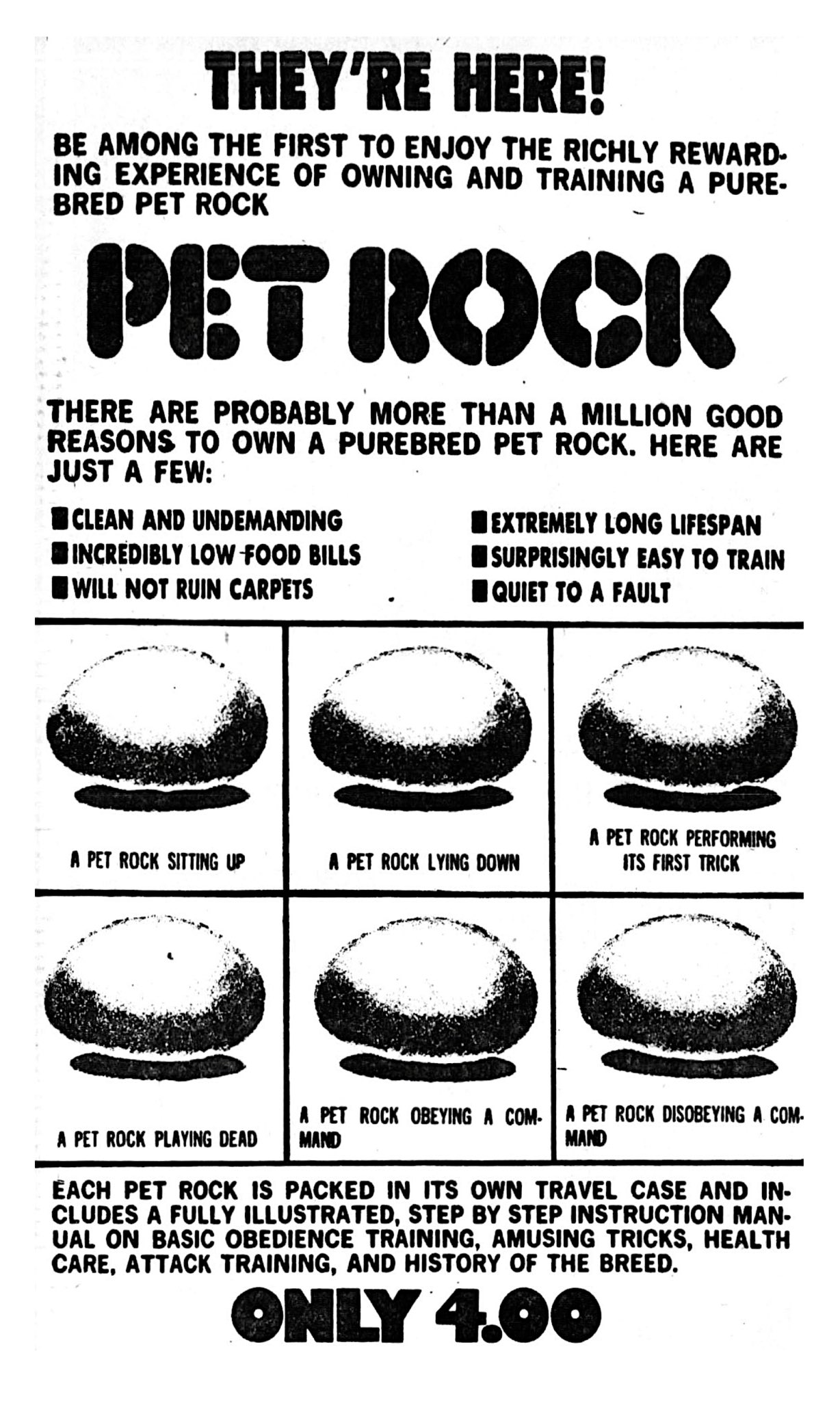 The Rise and Fall of the Pet Rock: A Look Back at the 1975 Holiday