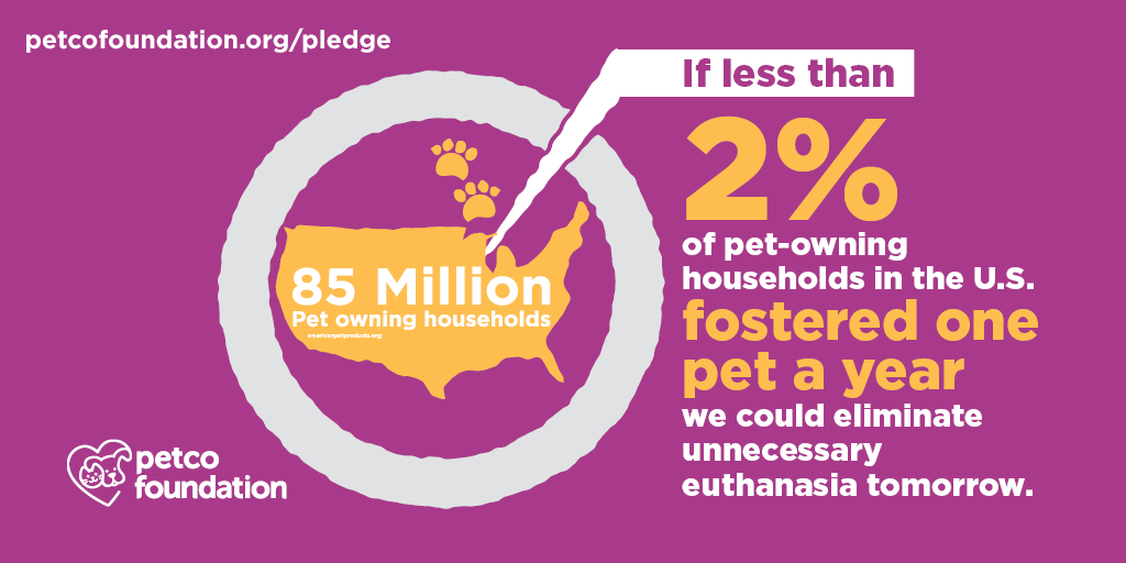 DallasShelter's tweet photo. It's #FosterAPetMonth! COVID-19 saw a significant spike in the number of people fostering pets in Dallas and across the country. Let's inspire more people to join the fostering movement! Become a #DASfoster TODAY at https://t.co/SlbbduPgJ6.
@petcofoundation @BOBS_Skechers https://t.co/SdmRJF2WS0