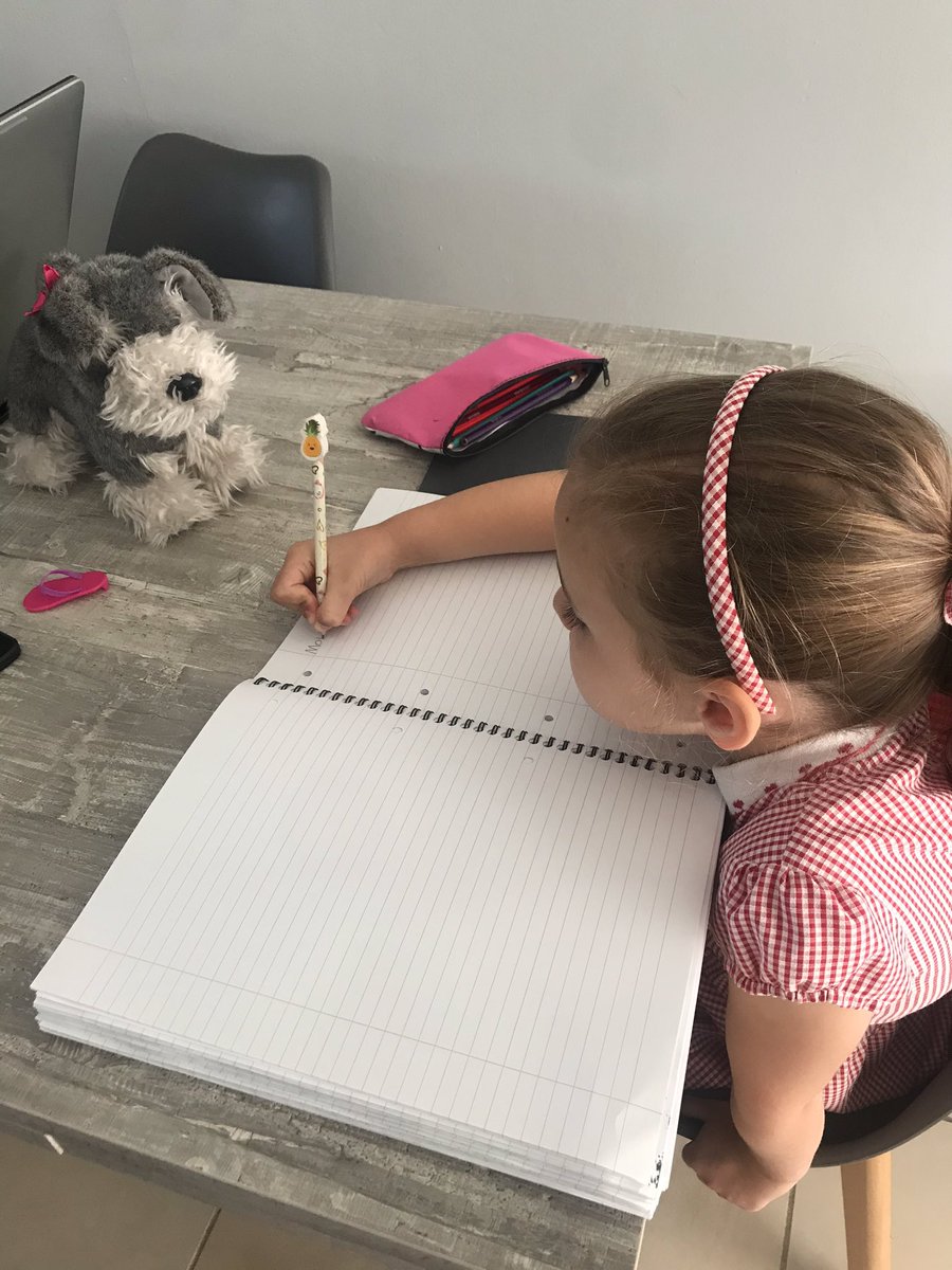 LisaDMills's tweet photo. @MWISClass7 Violet wanted to wear her school summer dress on Monday, she is continuing with her plant diary and really enjoying reading the oxford owl e-books. https://t.co/qc36krduXM