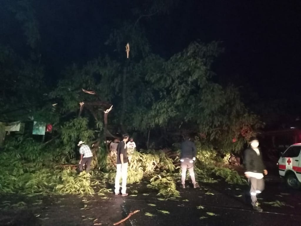 ChinamecaCruz's tweet photo. 🚨🚑Despejando carretera provocado por la Caida de un Arbol a la Altura de la Estancia junto con Personales Civiles , FAES, bomberos y FOVIAL🚨🚑👀 https://t.co/I10AX2xeeM