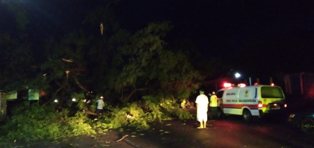 ChinamecaCruz's tweet photo. 🚨🚑Despejando carretera provocado por la Caida de un Arbol a la Altura de la Estancia junto con Personales Civiles , FAES, bomberos y FOVIAL🚨🚑👀 https://t.co/I10AX2xeeM