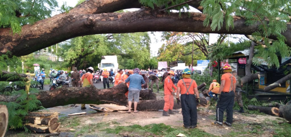 ChinamecaCruz's tweet photo. 🚨🚑Despejando carretera provocado por la Caida de un Arbol a la Altura de la Estancia junto con Personales Civiles , FAES, bomberos y FOVIAL🚨🚑👀 https://t.co/I10AX2xeeM