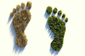 CruzRojAlbacete's tweet photo. ¿Sabes qué es la #huellaecológica o de carbono? 👣

Se trata de un indicador de impacto ambiental que generamos sobre recursos naturales.

¡Anímate a realizarlo, descubre todos los hábitos sostenibles que realizas! ➡️  https://t.co/pSvhphLzJv 
#5JconCRJ https://t.co/EST6ES7CVW