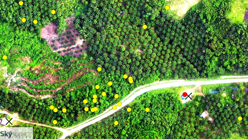 Sky Source Aerial tweet media