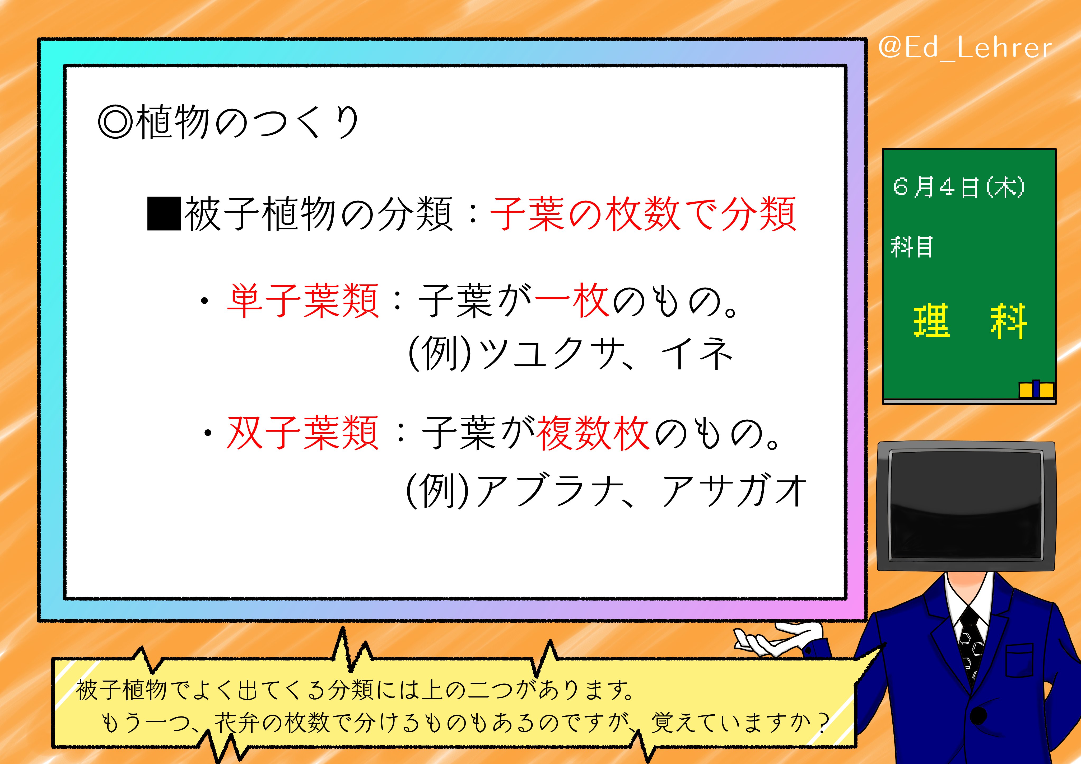 O Xrhsths エドワイズ レーラー 療養中のため休止中vtutor Sto Twitter ミニレクチャー009 理科 こんばんは エドです 本日は単子葉類と双子葉類です この二つの分類は頻出問題ですのできちんと押さえてきましょう 図が下手なのでよろしければ教科書や