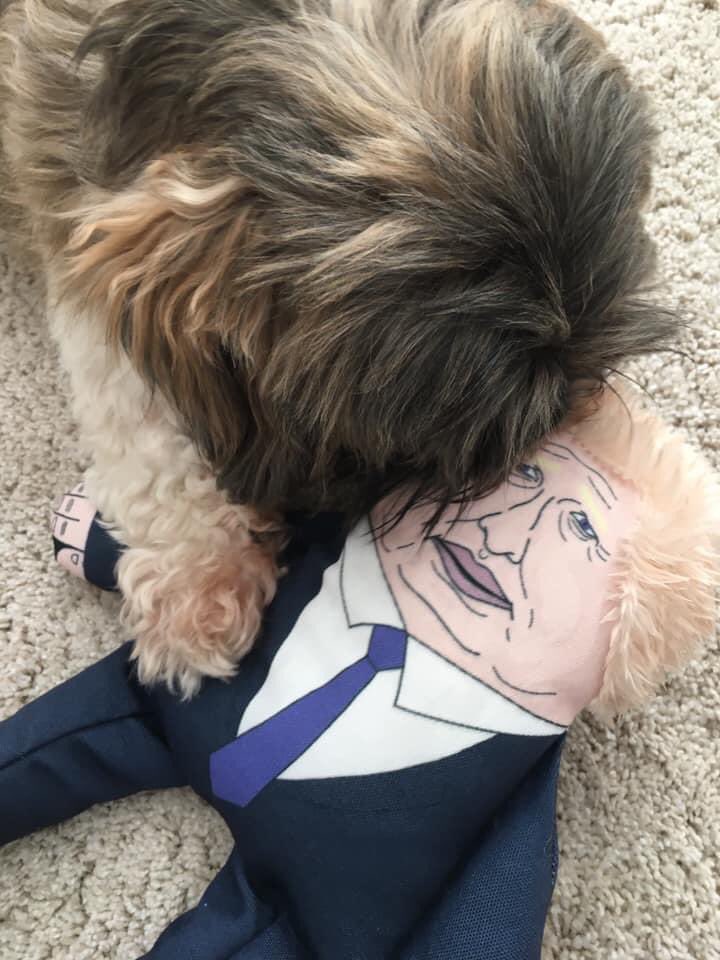 emmacox19702's tweet photo. @simonmayo My dog’s terrible twin” is her favourite toy .... she loves to scratch frantically at his face, shake him violently and then drool on his hair. Hours of fun. https://t.co/KCMOgV5Or3